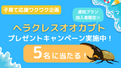 通知プラン加入でヘラクレスオオカブトが当たる!